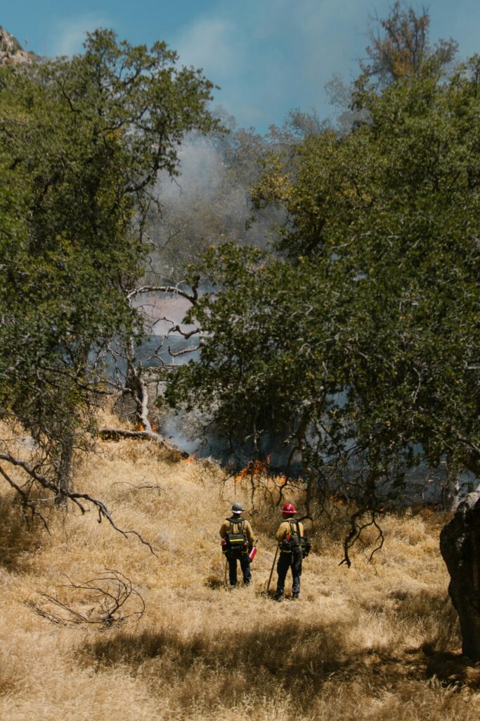 ire fighters walking through smoky hills.